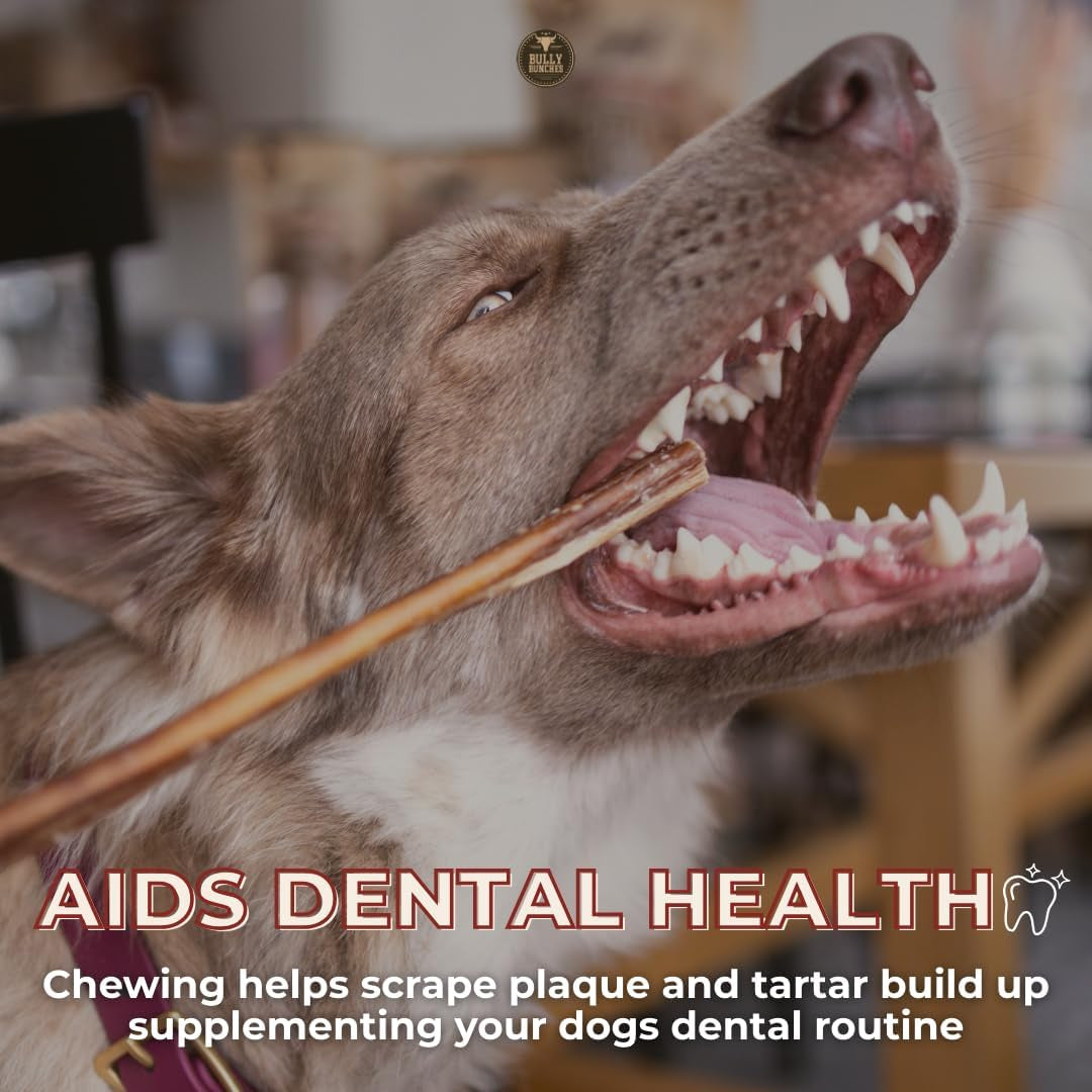 Premium (6" Standard - 5 Pack) Odour-Free, Consistently Sized Bully Sticks for Small & Medium Dogs & Puppies, Long-Lasting Oral Care Chews, All-Natural Single-Ingredient Beef, No Rawhide