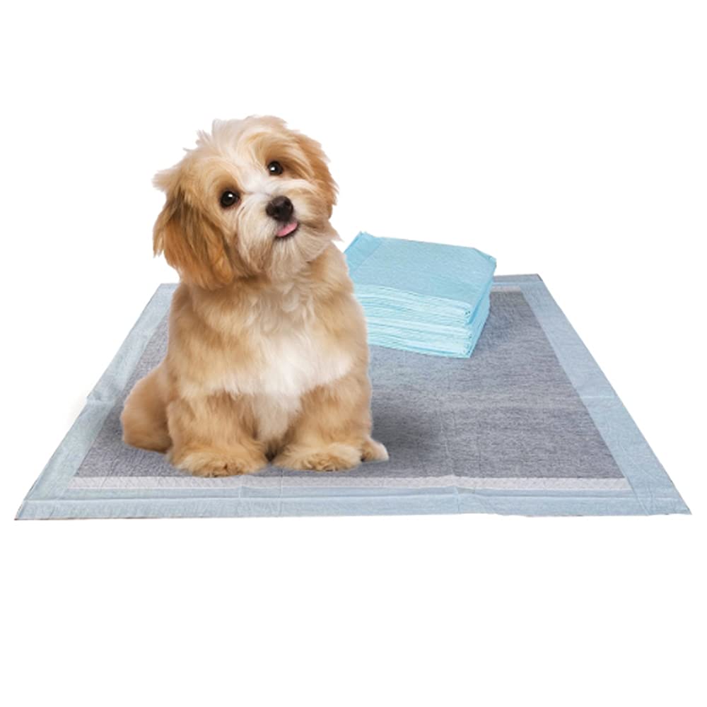 BV Charcoal Puppy Pads Leak-Proof 22"x 22" [100CT] | Pee Pads for Dogs Quick Absorb - Dog Pads 100 Pack- Potty Pads for Dogs- Puppy Pee Pads, Pet Training Pads Dog PIPI Pad Pour Chien