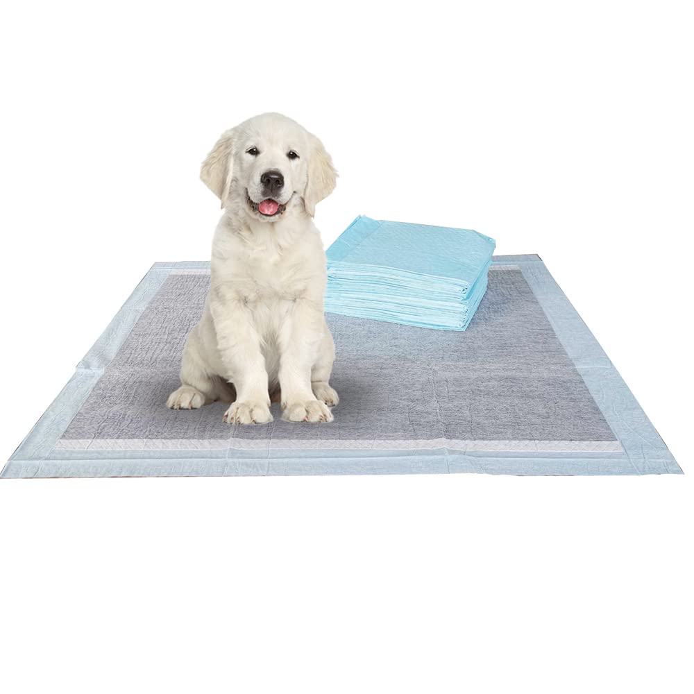 BV Charcoal Puppy Pads Leak-Proof 22"x 22" [100CT] | Pee Pads for Dogs Quick Absorb - Dog Pads 100 Pack- Potty Pads for Dogs- Puppy Pee Pads, Pet Training Pads Dog PIPI Pad Pour Chien