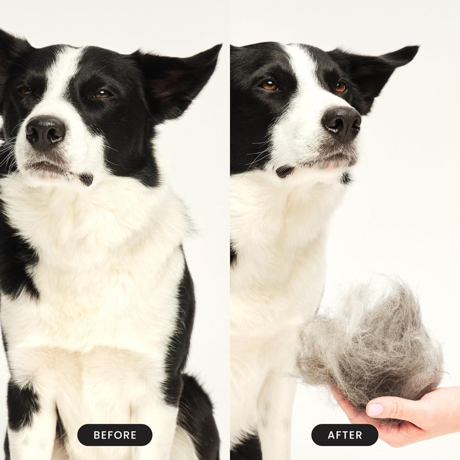 De-Shedding Dog Brush by Tangle Teezer, Dog Grooming Tool for Long Haired Breeds and Wet or Dry Fur, Large, Purple & Gray