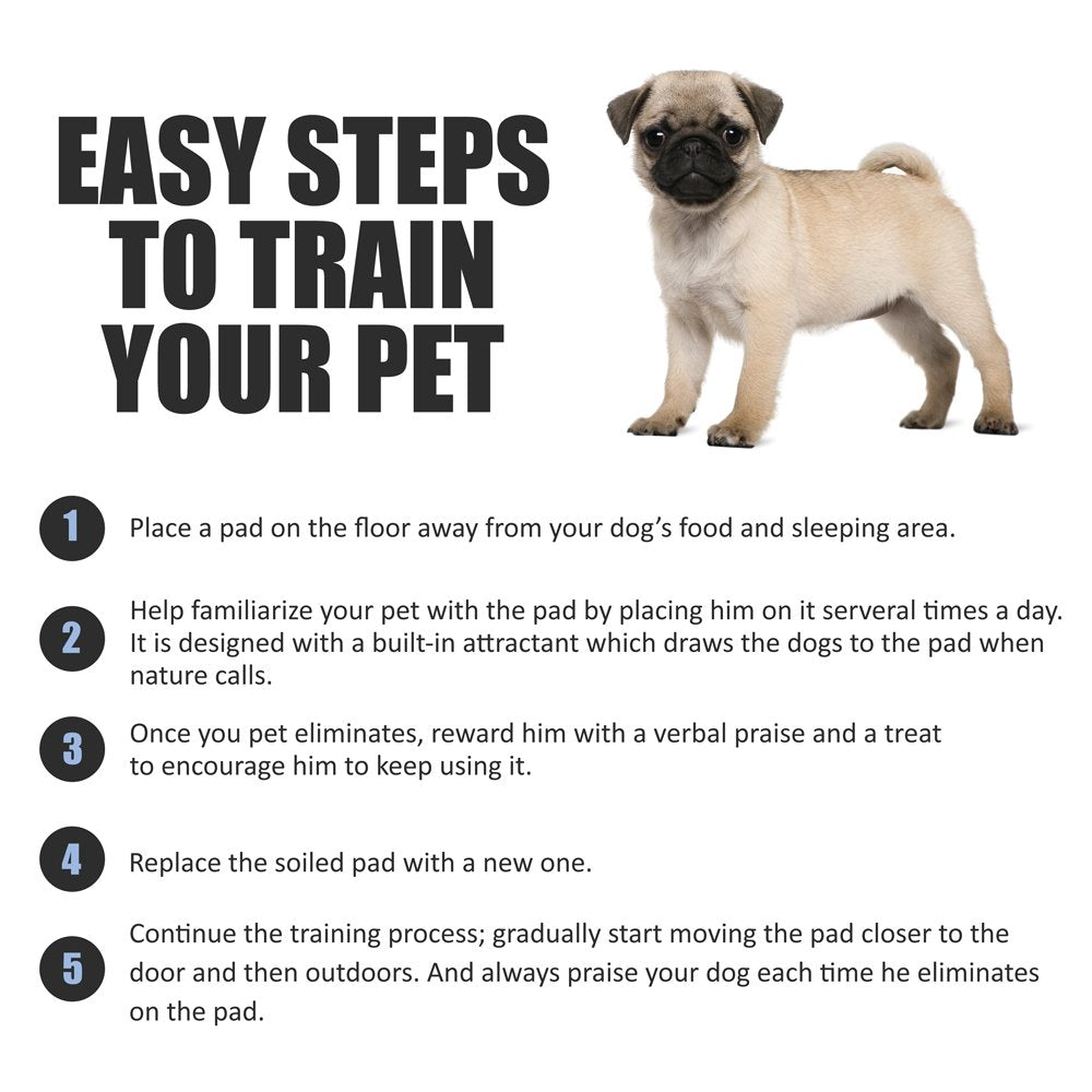 BV Charcoal Puppy Pads Leak-Proof 22"x 22" [100CT] | Pee Pads for Dogs Quick Absorb - Dog Pads 100 Pack- Potty Pads for Dogs- Puppy Pee Pads, Pet Training Pads Dog PIPI Pad Pour Chien