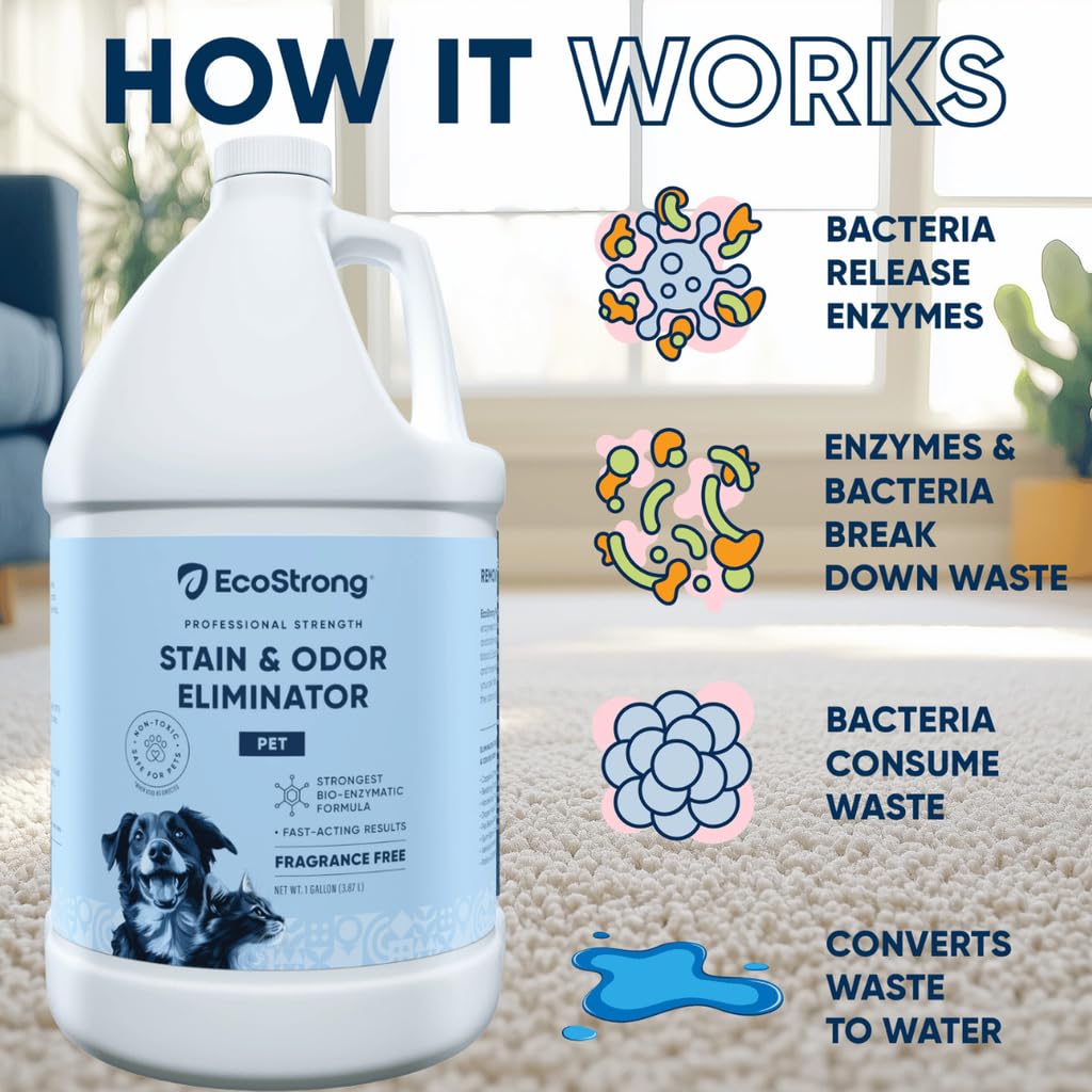 Eco Strong Pet Stain and Odor Remover - Cat Urine Enzyme Cleaner Destroyer, Urine Destroyer for Dogs, Pet Urine Enzyme Cleaner - 32 OZ