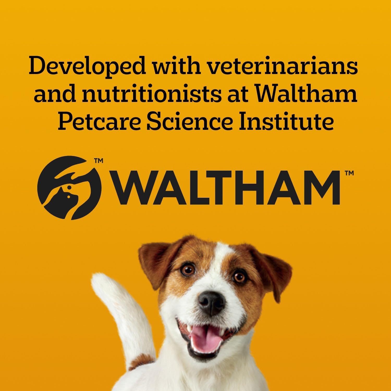 PEDIGREE DENTASTIX Oral Care Original Adult Dog Treats - for Medium Breeds - Reduces Plaque and Tartar Buildup - 40 Sticks 972g Pouch