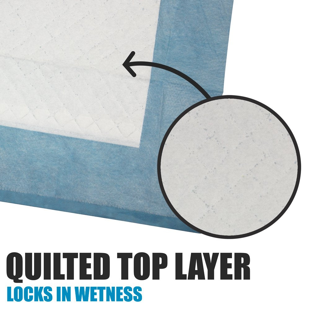 BV Charcoal Puppy Pads Leak-Proof 22"x 22" [100CT] | Pee Pads for Dogs Quick Absorb - Dog Pads 100 Pack- Potty Pads for Dogs- Puppy Pee Pads, Pet Training Pads Dog PIPI Pad Pour Chien