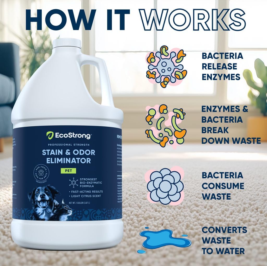 Eco Strong Pet Stain and Odor Remover - Cat Urine Enzyme Cleaner Destroyer, Urine Destroyer for Dogs, Pet Urine Enzyme Cleaner - 32 OZ