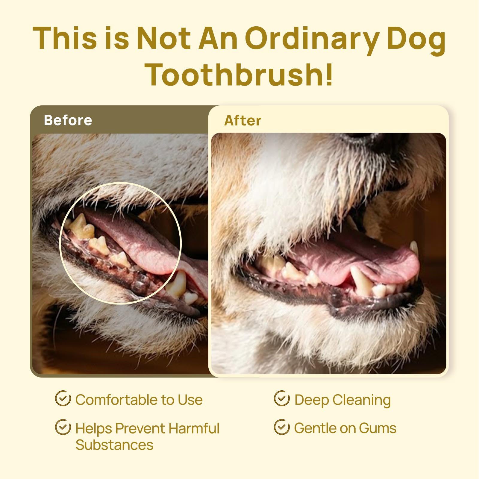 HICC PET Toothbrush for Dogs & Large Cats, Vet-Recommended Dog Toothbrush with Triple Bristle, Ergonomic Design, Improves Oral Hygiene, Deep Teeth Cleaning, Gum & Dental Care, Toothpaste Not Included