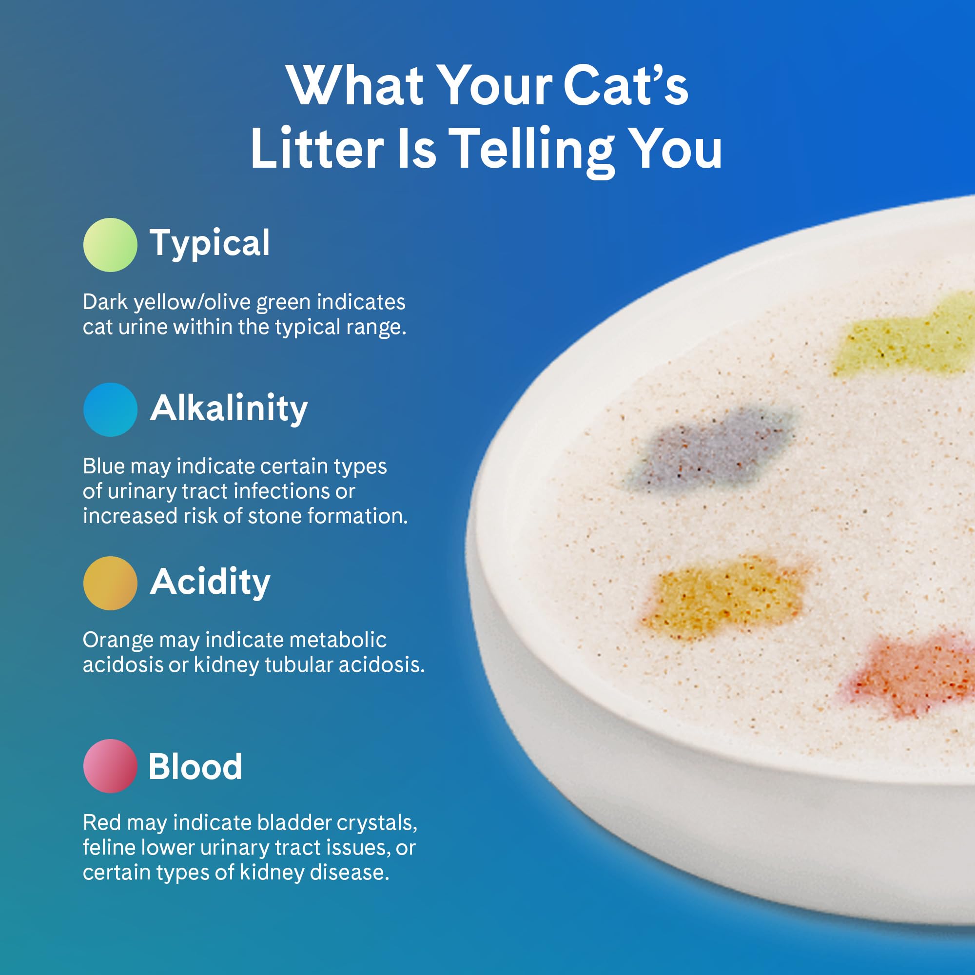 PrettyLitter Health Monitoring Cat Litter (Unscented, Non Clumping) | Lightweight & Low Tracking, Colour Changing Silica Gel Crystals, Advanced Odour Control — 6 Lbs, 1-Pack (Up to 1 Month Supply)