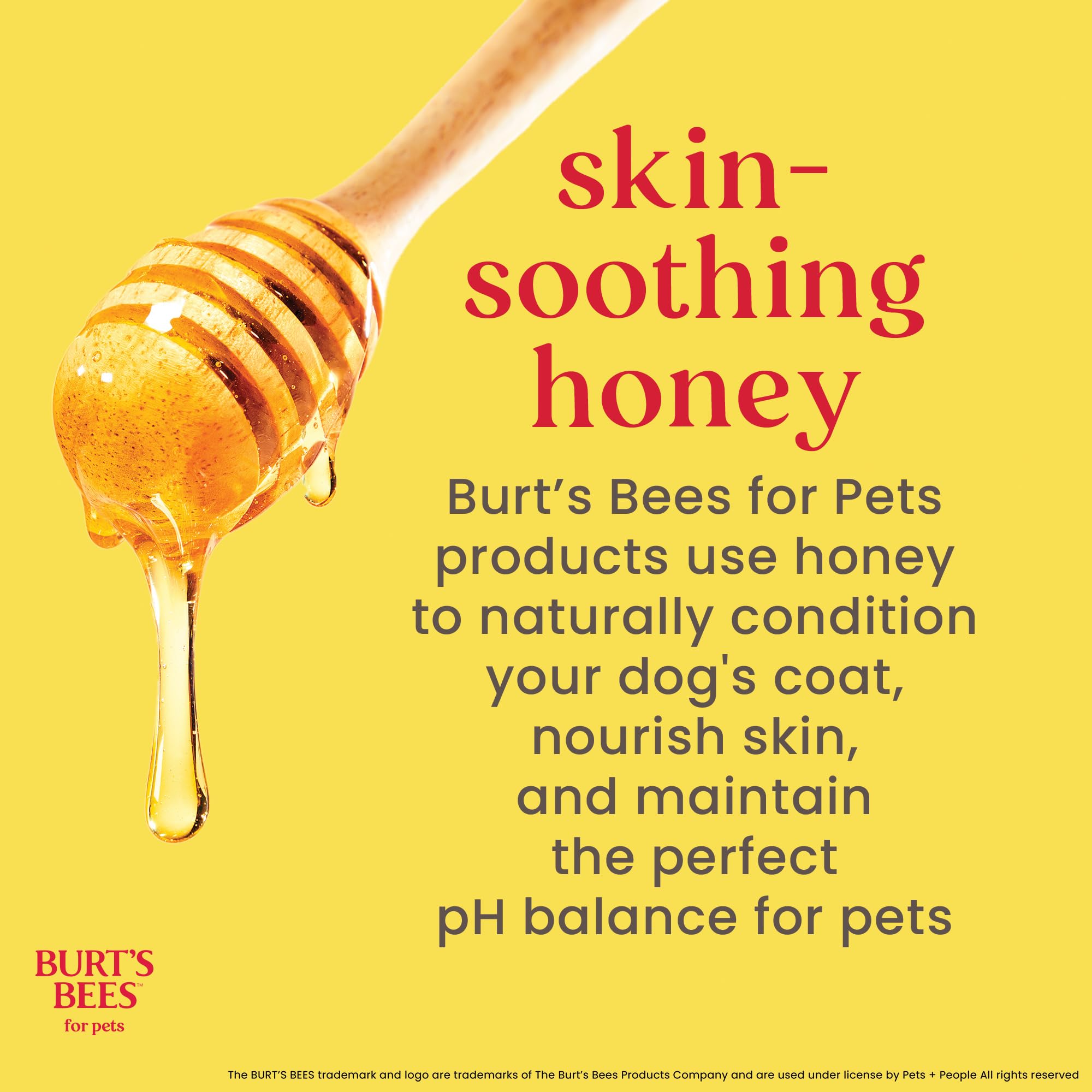 Burt's Bees for Cats Hypoallergenic Cat Shampoo with Shea Butter & Honey | Best Shampoo for Cats with Dry or Sensitive Skin | Cruelty Free, Sulfate & Paraben Free, pH Balanced for Cats - 10 Fl Oz