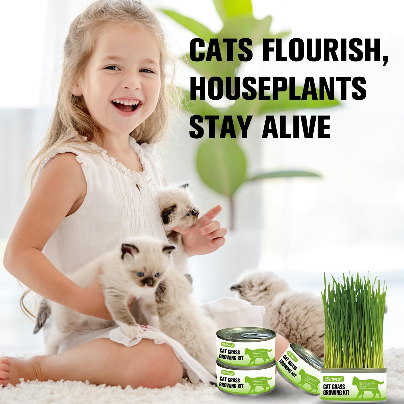 Premium Cat Grass Growing Kit - 4-Pack, Easy Planting for a Natural Treat for Cats and Other Pets
