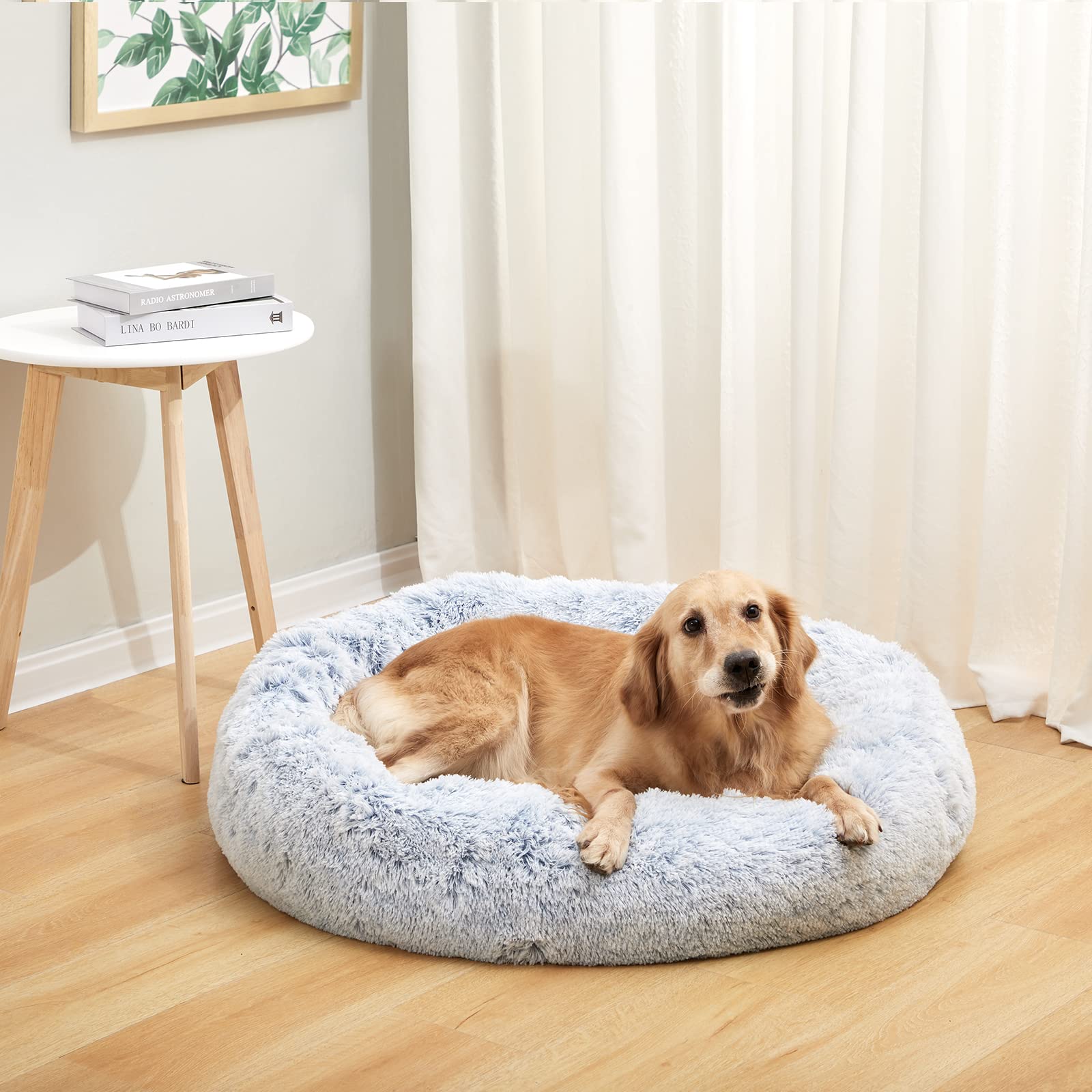 Bedfolks Calming Donut Cat Bed, Dia23 Round Fluffy Dog Beds for Small Dogs & Cat Beds for Indoor Cats, Washable Anti-Anxiety Plush Puppy Bed（Pink, Small）