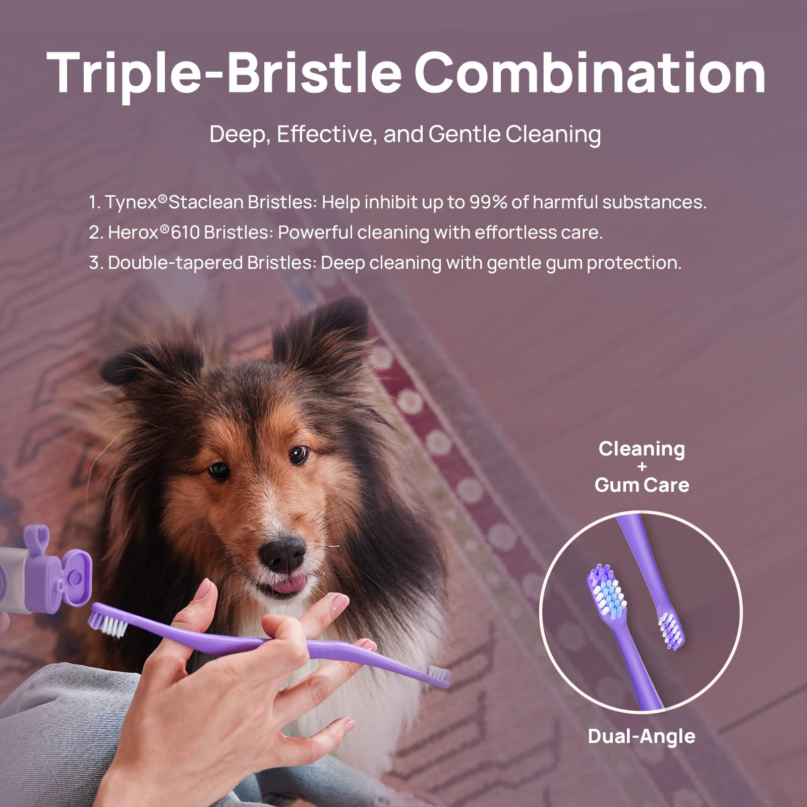 HICC PET Toothbrush for Dogs & Large Cats, Vet-Recommended Dog Toothbrush with Triple Bristle, Ergonomic Design, Improves Oral Hygiene, Deep Teeth Cleaning, Gum & Dental Care, Toothpaste Not Included
