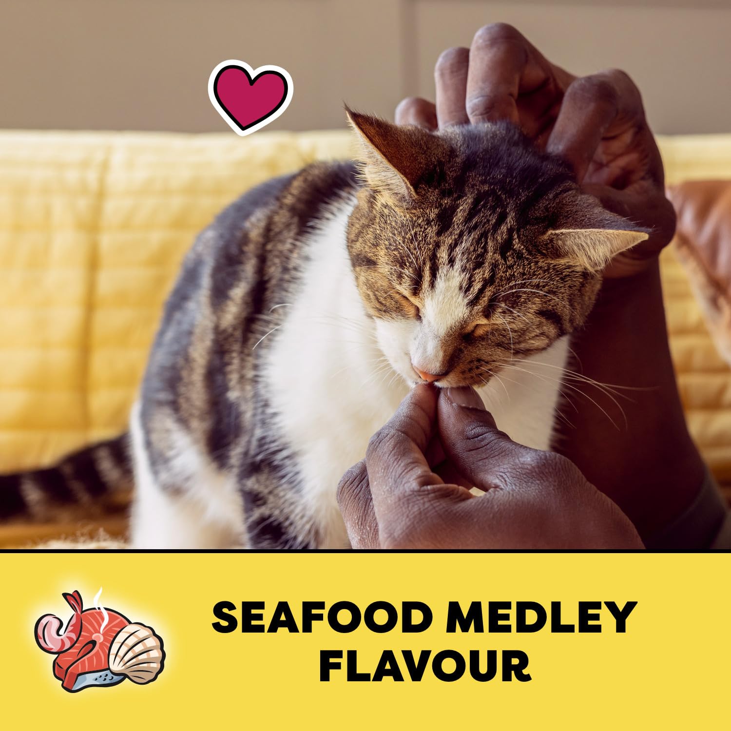 TEMPTATIONS Cat Treats, Seafood Medley Flavour, 454g Tub