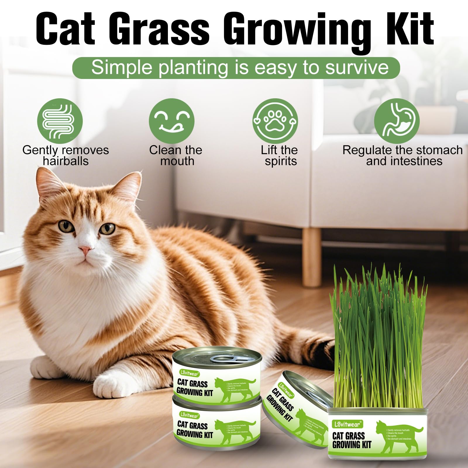 Premium Cat Grass Growing Kit - 4-Pack, Easy Planting for a Natural Treat for Cats and Other Pets