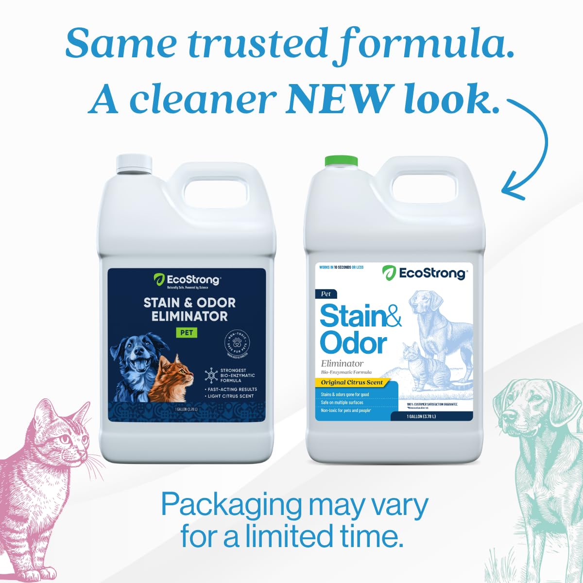 Eco Strong Pet Stain and Odor Remover - Cat Urine Enzyme Cleaner Destroyer, Urine Destroyer for Dogs, Pet Urine Enzyme Cleaner - 32 OZ
