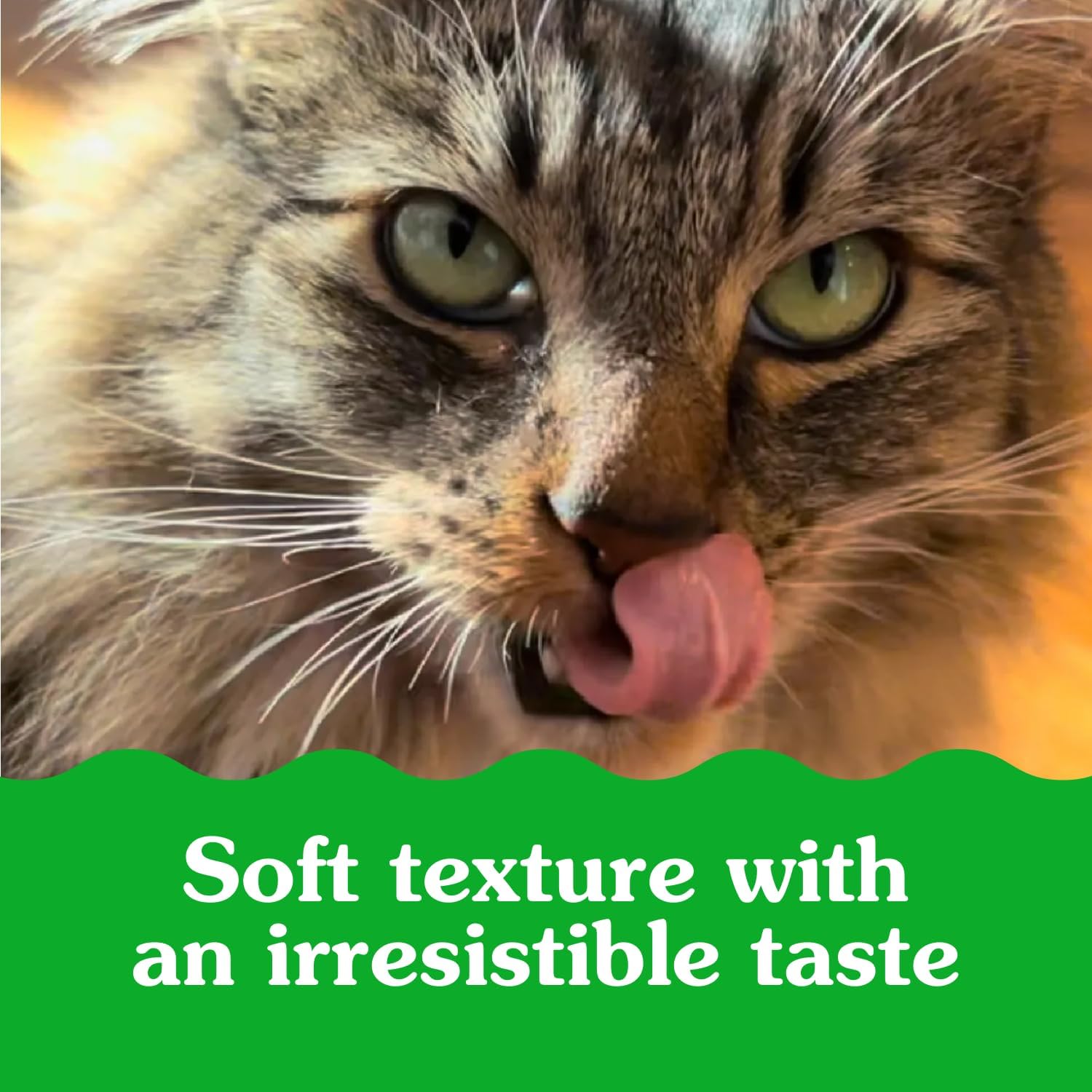 GREENIES Feline SMARTBITES Cat Treats Natural Dental Care, Chicken Flavour, 2.1oz Pouch