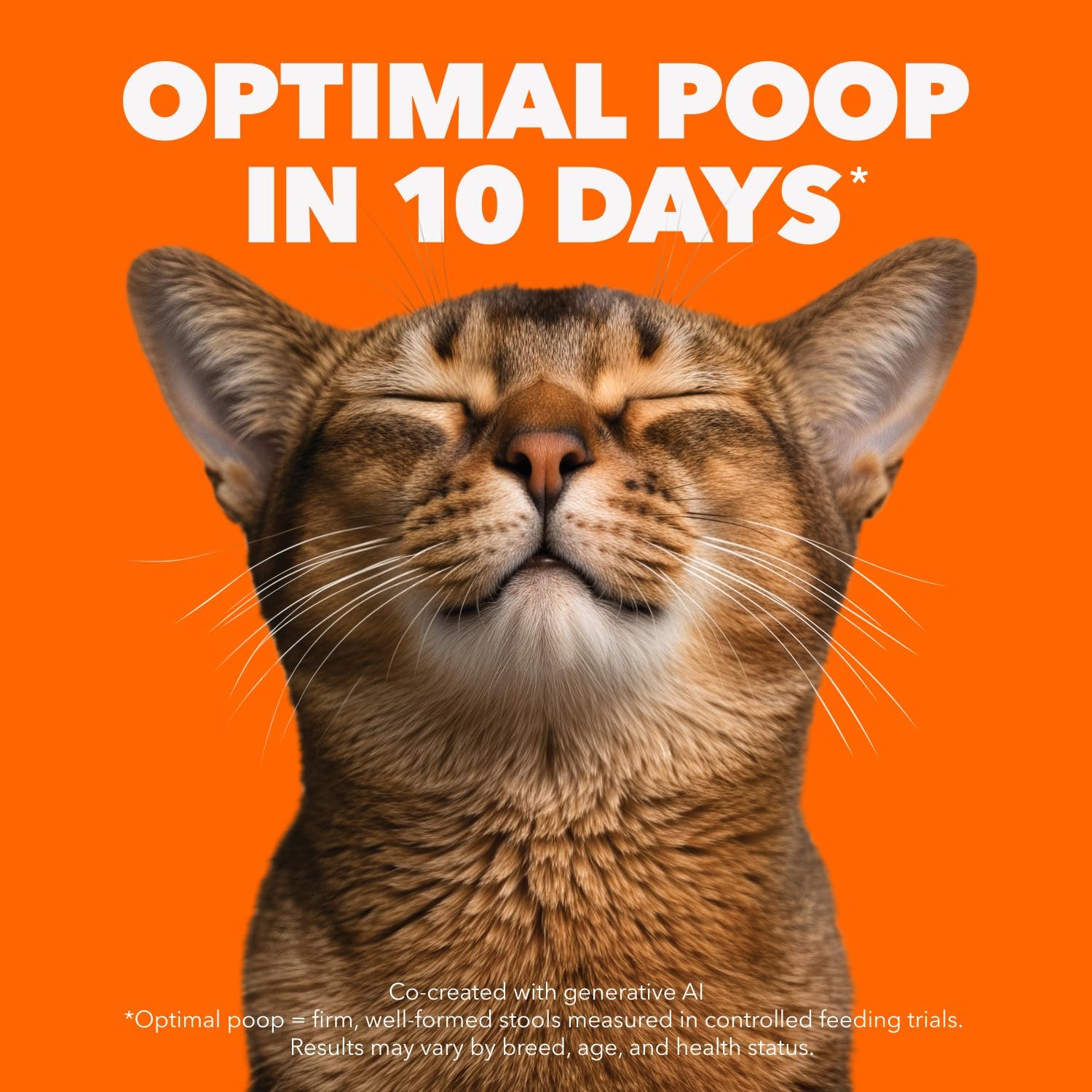 IAMS Proactive Health Indoor Weight & Hairball Care Adult Dry Cat Food – Chicken & Turkey – 3.18KG (7LB) Bag