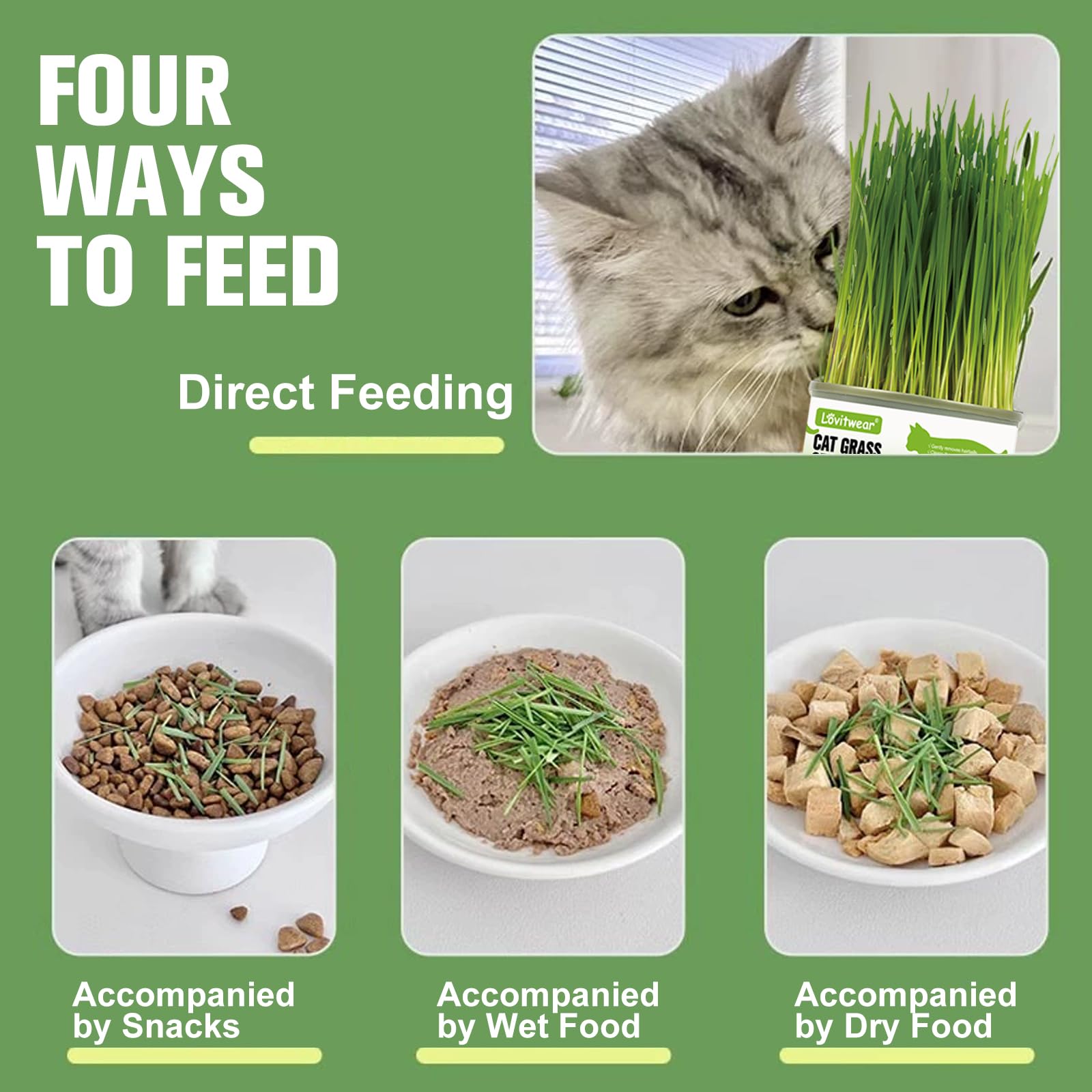 Premium Cat Grass Growing Kit - 4-Pack, Easy Planting for a Natural Treat for Cats and Other Pets