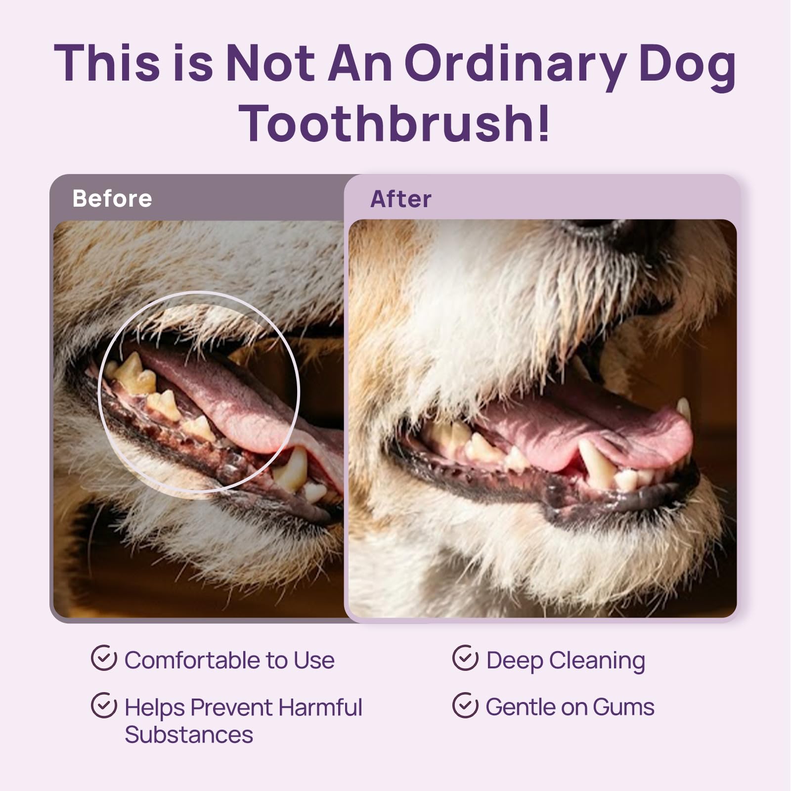 HICC PET Toothbrush for Dogs & Large Cats, Vet-Recommended Dog Toothbrush with Triple Bristle, Ergonomic Design, Improves Oral Hygiene, Deep Teeth Cleaning, Gum & Dental Care, Toothpaste Not Included