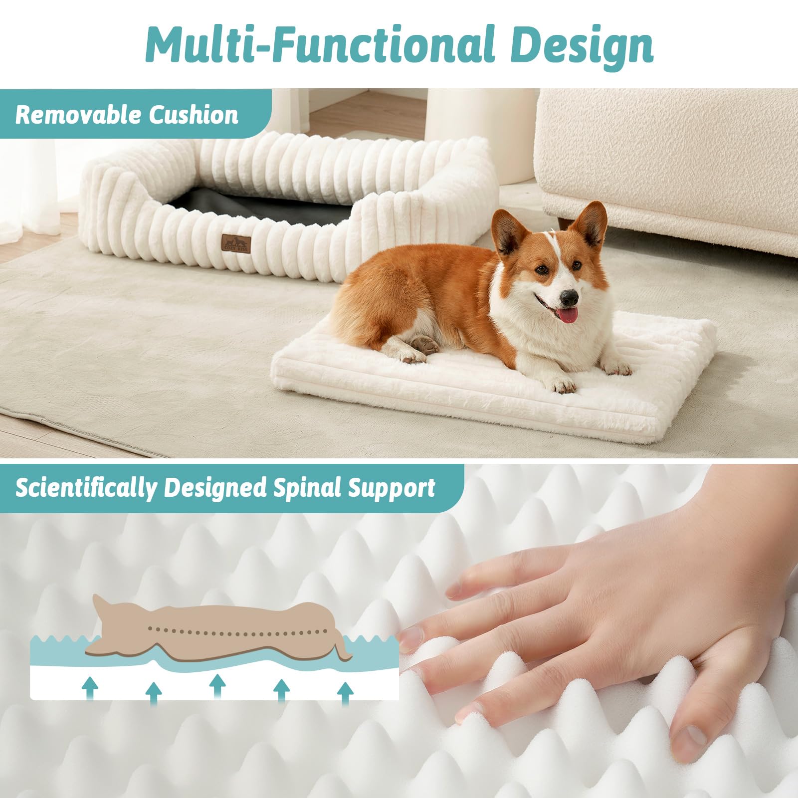 COZY KISS Orthopedic Dog Bed for Small Dogs & Medium Dogs - Washable Rectangle Pet Bed with Anti-Slip Bottom, Soft Calming Cat & Puppy Bed for Indoor Pets (30"x23"x7", Cream)