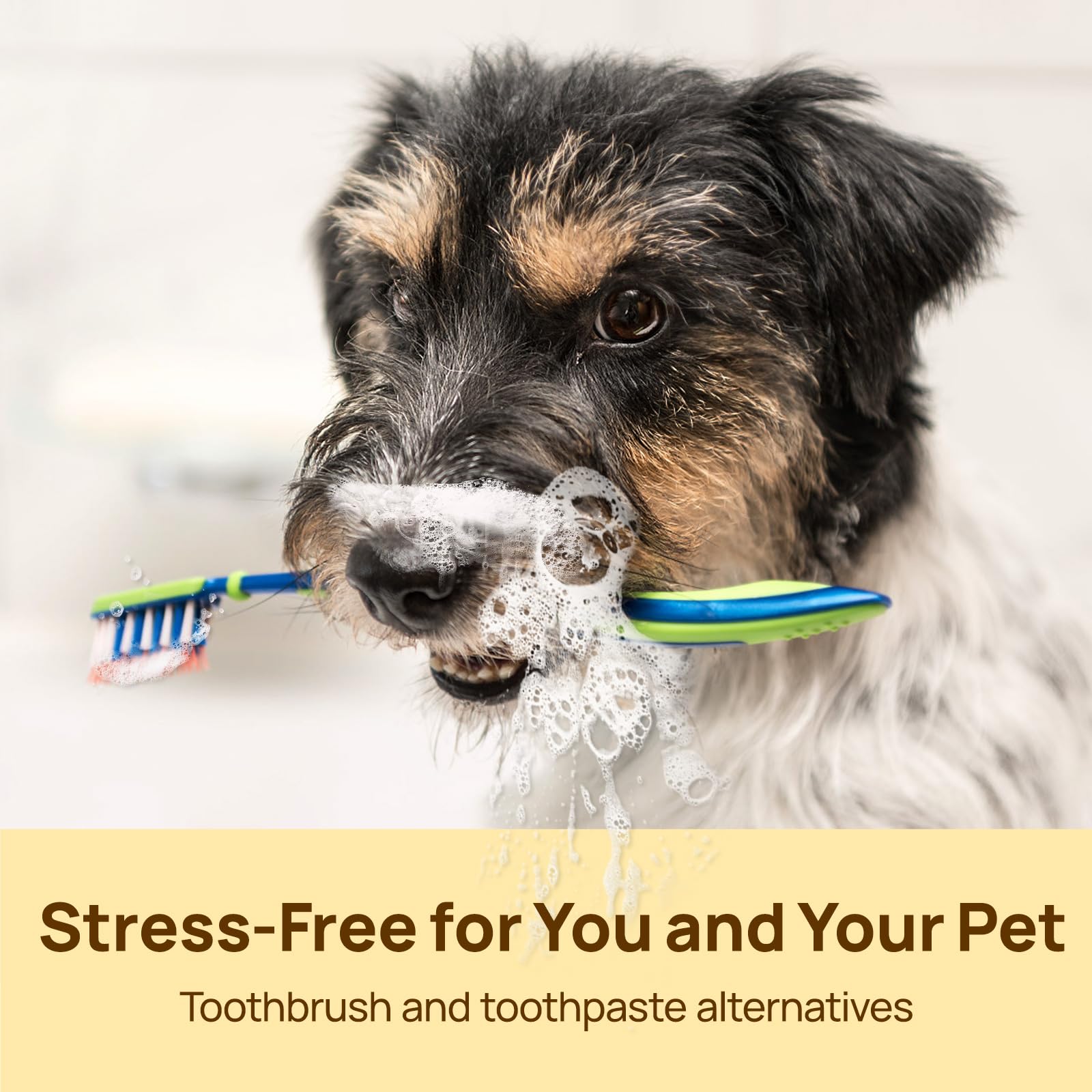 HICC Pet Teeth Cleaning Finger Wipes for Dogs & Cats, Vet-Recommended Remove Bad Breath, Plaque, Tartar Buildup, Fresh Breath Dog Tooth Brushing Kit, Dog Finger Toothbrush & Toothpaste Alternatives