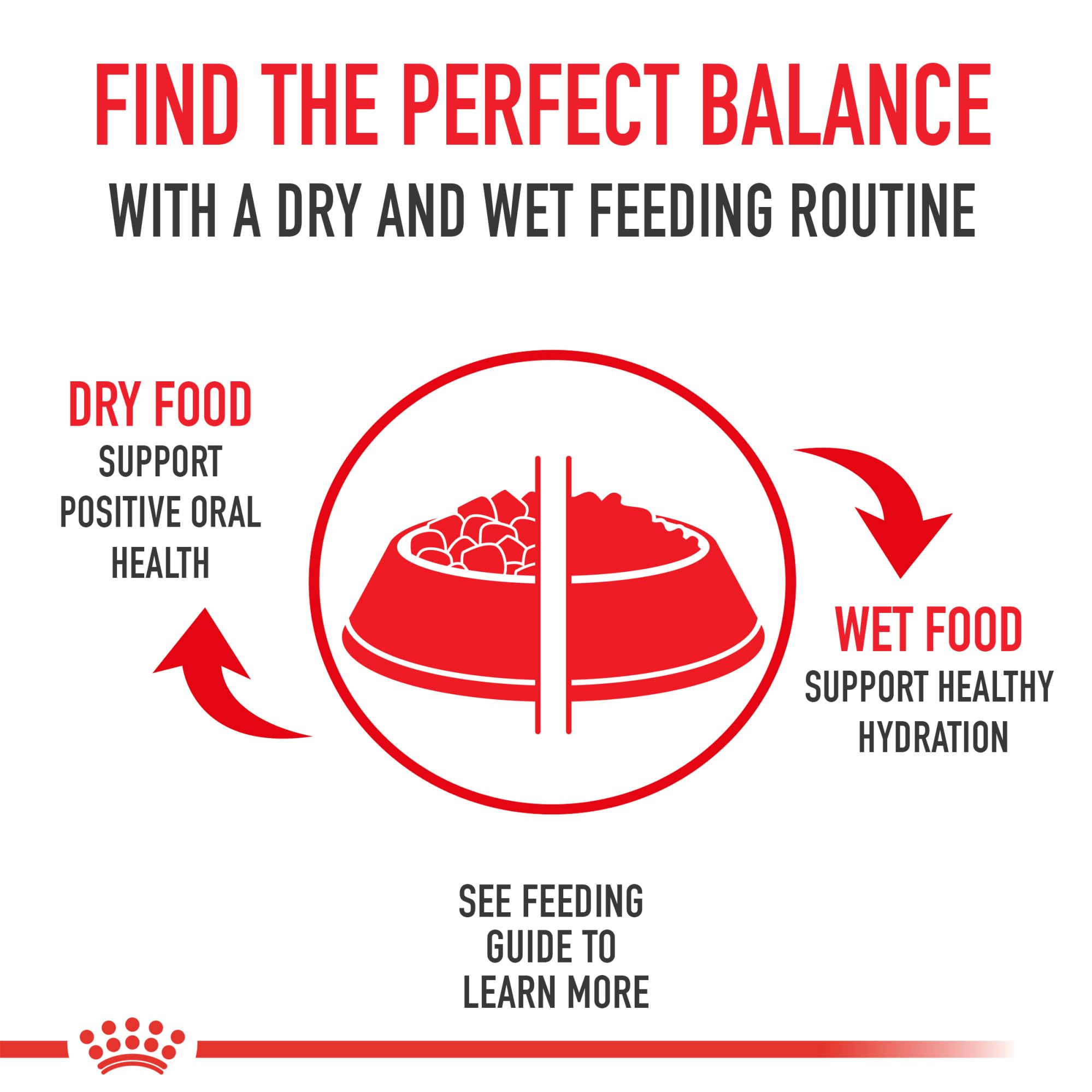 Royal Canin Indoor Adult Dry Cat Food, 15 lb bag