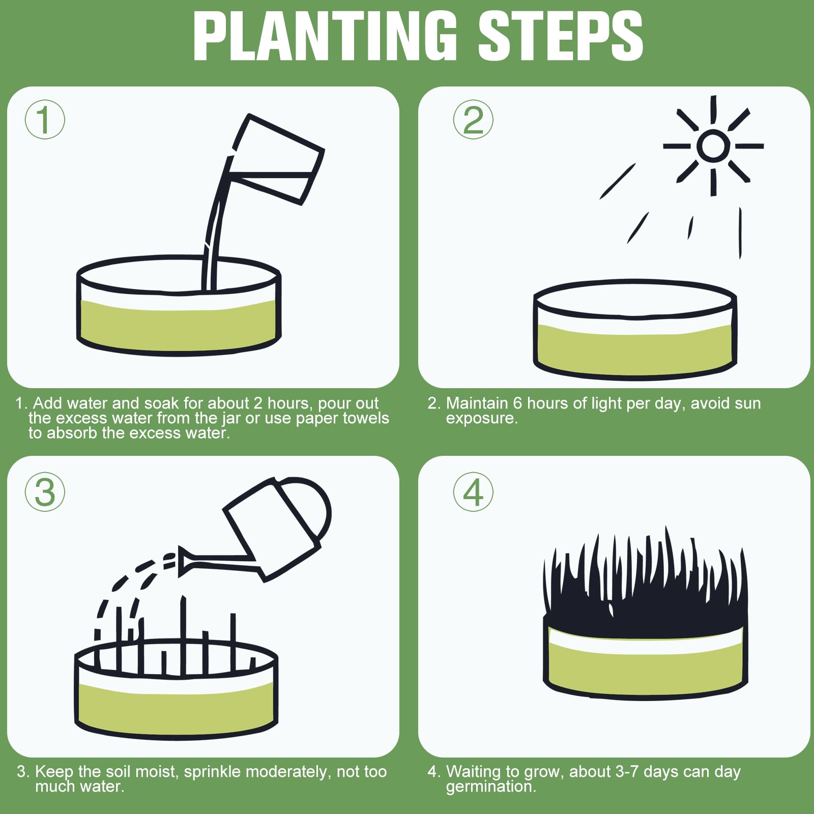 Premium Cat Grass Growing Kit - 4-Pack, Easy Planting for a Natural Treat for Cats and Other Pets