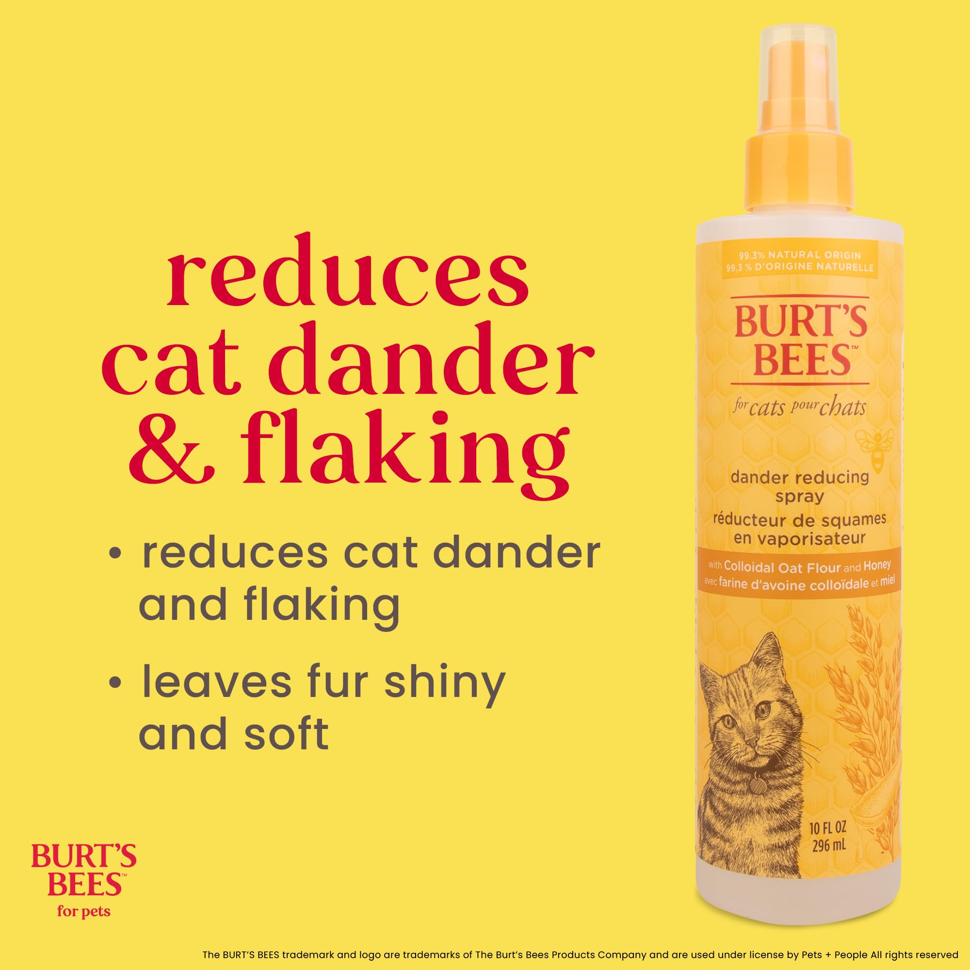 Burt's Bees for Cats Hypoallergenic Cat Shampoo with Shea Butter & Honey | Best Shampoo for Cats with Dry or Sensitive Skin | Cruelty Free, Sulfate & Paraben Free, pH Balanced for Cats - 10 Fl Oz