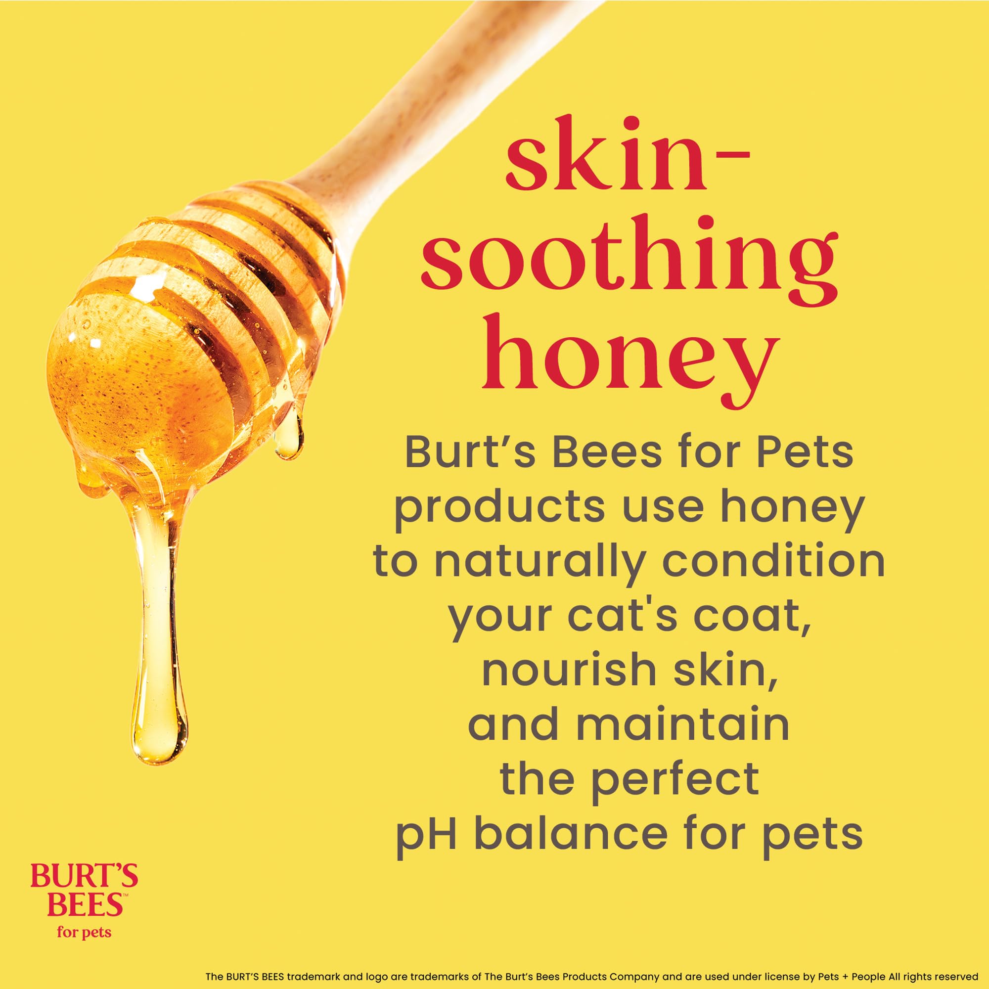 Burt's Bees for Cats Hypoallergenic Cat Shampoo with Shea Butter & Honey | Best Shampoo for Cats with Dry or Sensitive Skin | Cruelty Free, Sulfate & Paraben Free, pH Balanced for Cats - 10 Fl Oz
