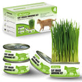 Premium Cat Grass Growing Kit - 4-Pack, Easy Planting for a Natural Treat for Cats and Other Pets