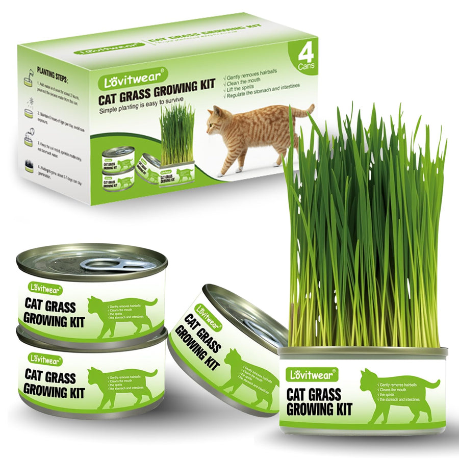 Premium Cat Grass Growing Kit - 4-Pack, Easy Planting for a Natural Treat for Cats and Other Pets