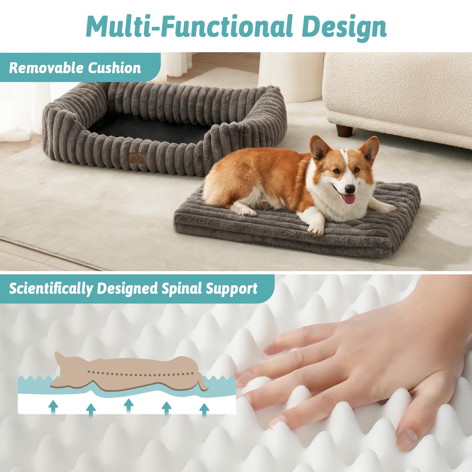 COZY KISS Orthopedic Dog Bed for Small Dogs & Medium Dogs - Washable Rectangle Pet Bed with Anti-Slip Bottom, Soft Calming Cat & Puppy Bed for Indoor Pets (30"x23"x7", Cream)
