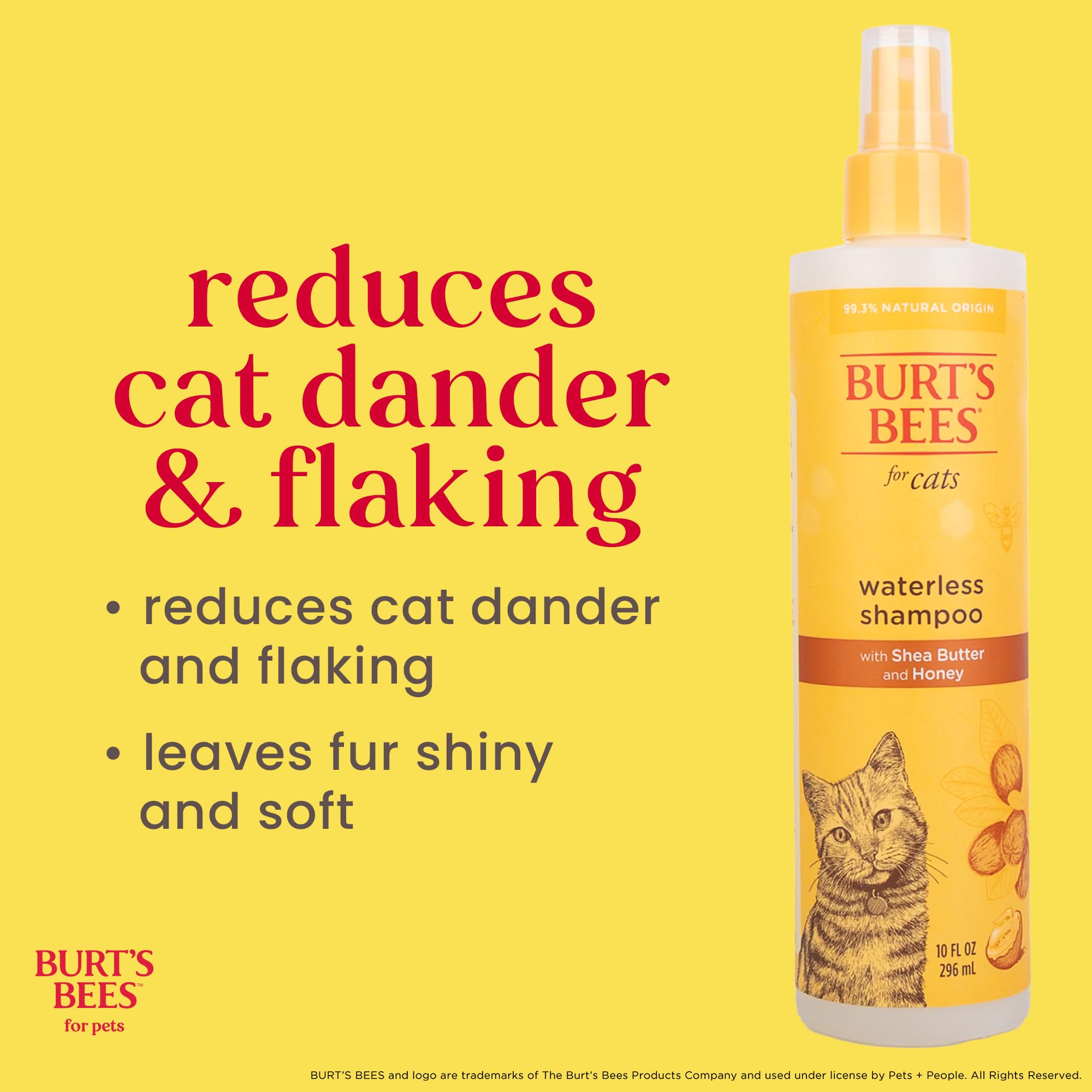 Burt's Bees for Cats Hypoallergenic Cat Shampoo with Shea Butter & Honey | Best Shampoo for Cats with Dry or Sensitive Skin | Cruelty Free, Sulfate & Paraben Free, pH Balanced for Cats - 10 Fl Oz