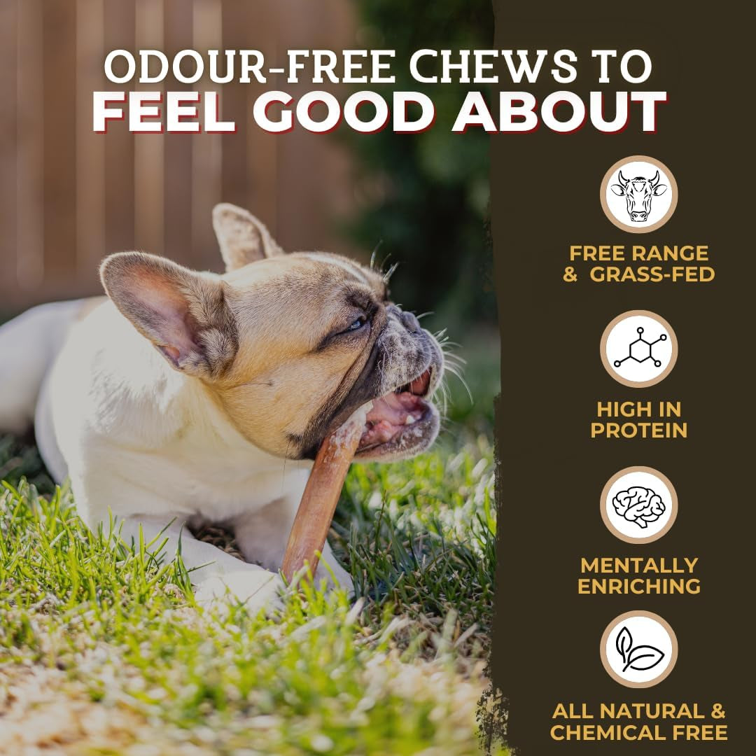 Premium (6" Standard - 5 Pack) Odour-Free, Consistently Sized Bully Sticks for Small & Medium Dogs & Puppies, Long-Lasting Oral Care Chews, All-Natural Single-Ingredient Beef, No Rawhide