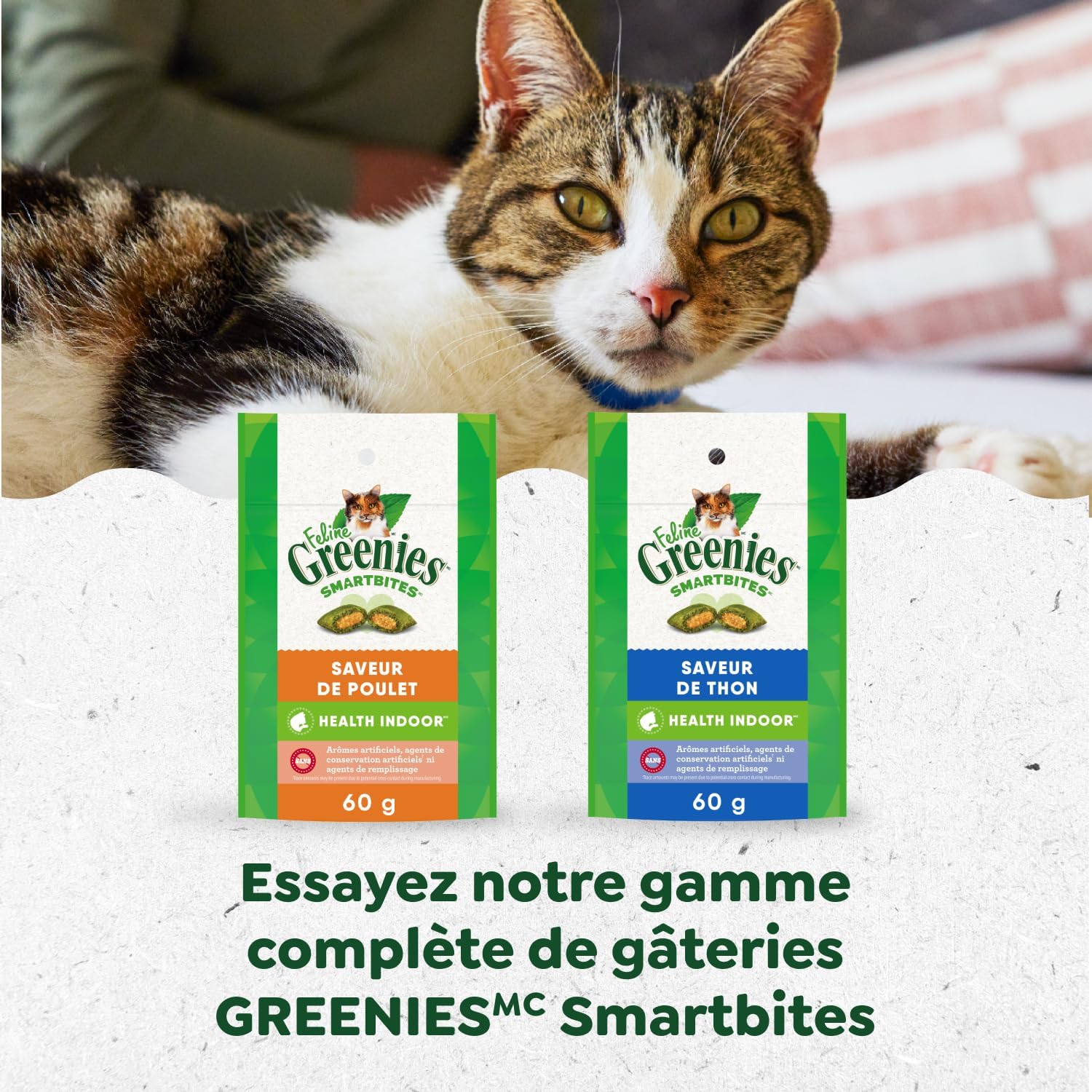 GREENIES Feline SMARTBITES Cat Treats Natural Dental Care, Chicken Flavour, 2.1oz Pouch