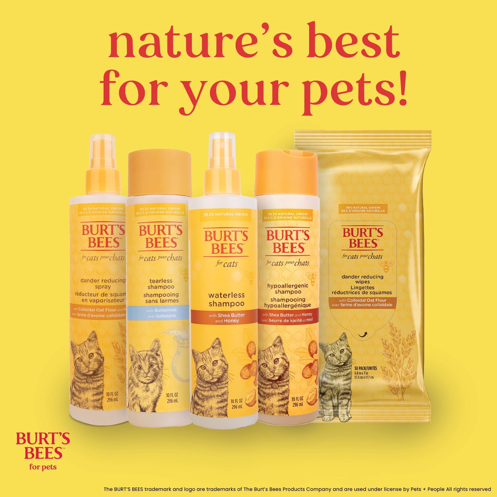 Burt's Bees for Cats Hypoallergenic Cat Shampoo with Shea Butter & Honey | Best Shampoo for Cats with Dry or Sensitive Skin | Cruelty Free, Sulfate & Paraben Free, pH Balanced for Cats - 10 Fl Oz