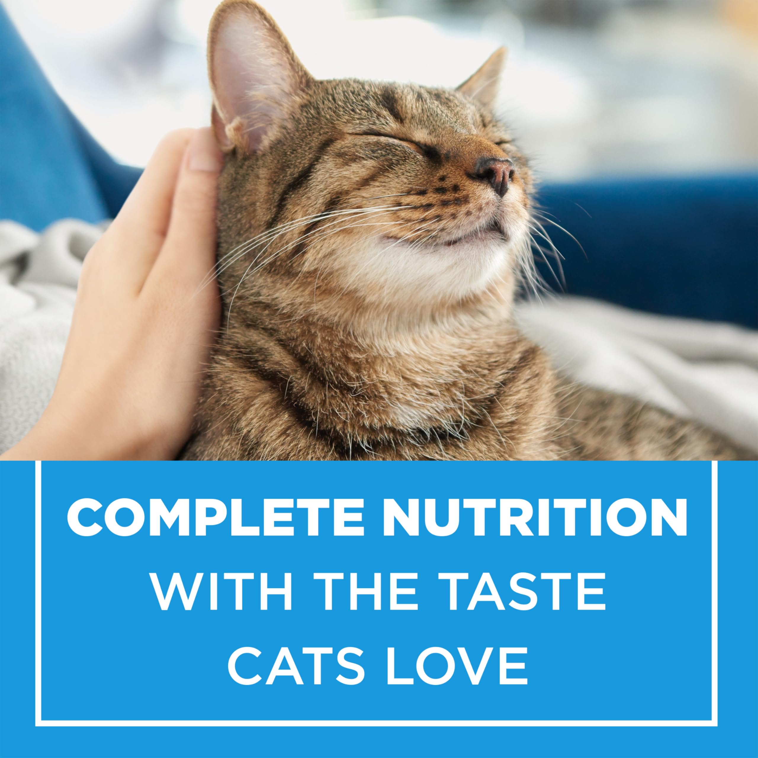 Cat Chow Complete Dry Cat Food, Real Chicken - 8 kg Bag