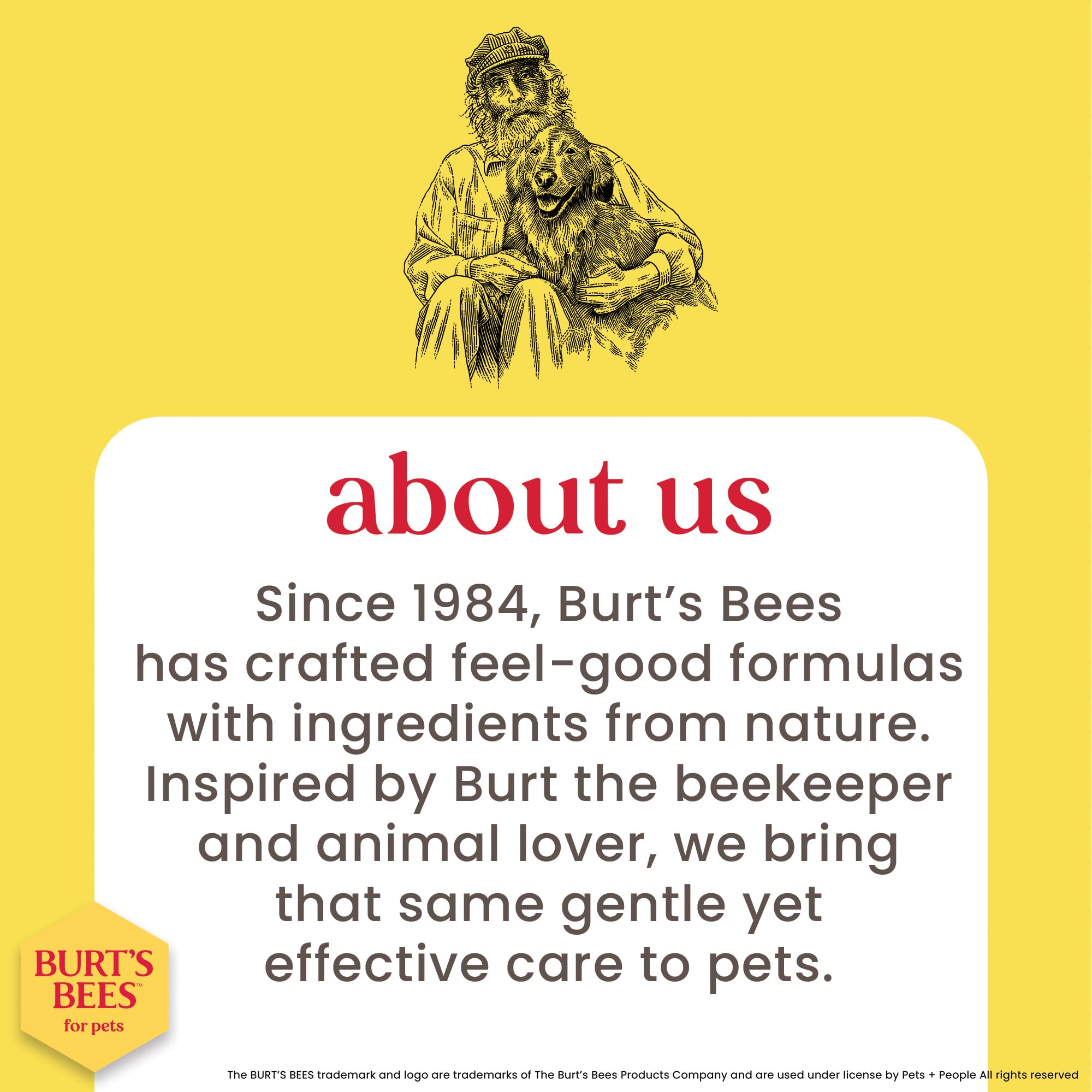 Burt's Bees for Cats Hypoallergenic Cat Shampoo with Shea Butter & Honey | Best Shampoo for Cats with Dry or Sensitive Skin | Cruelty Free, Sulfate & Paraben Free, pH Balanced for Cats - 10 Fl Oz