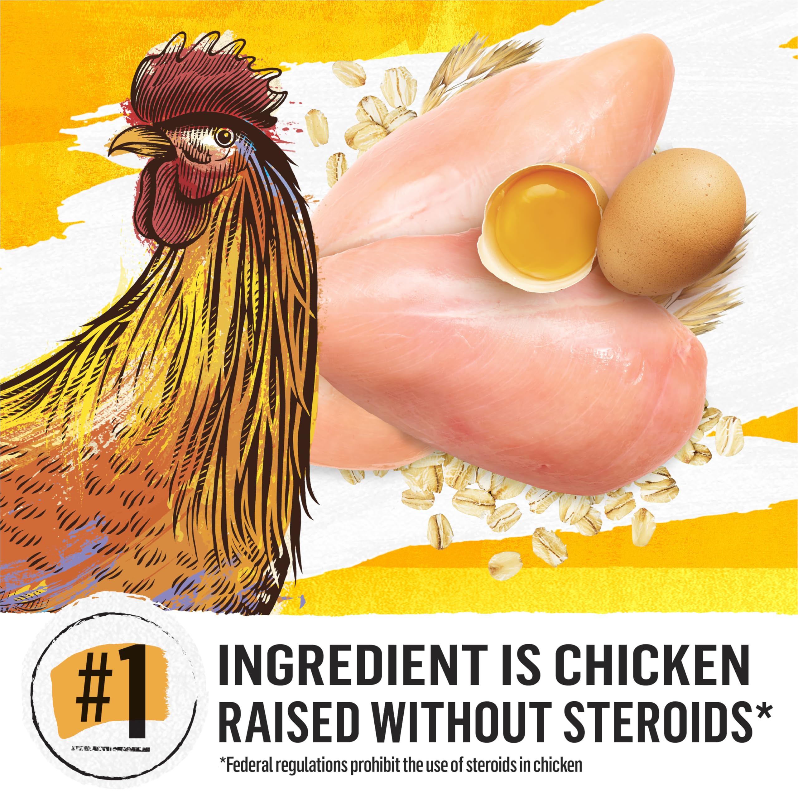 Beyond Simply Natural Dry Cat Food, Farm-Raised Chicken & Whole Oat Meal - 2.72 kg Bag