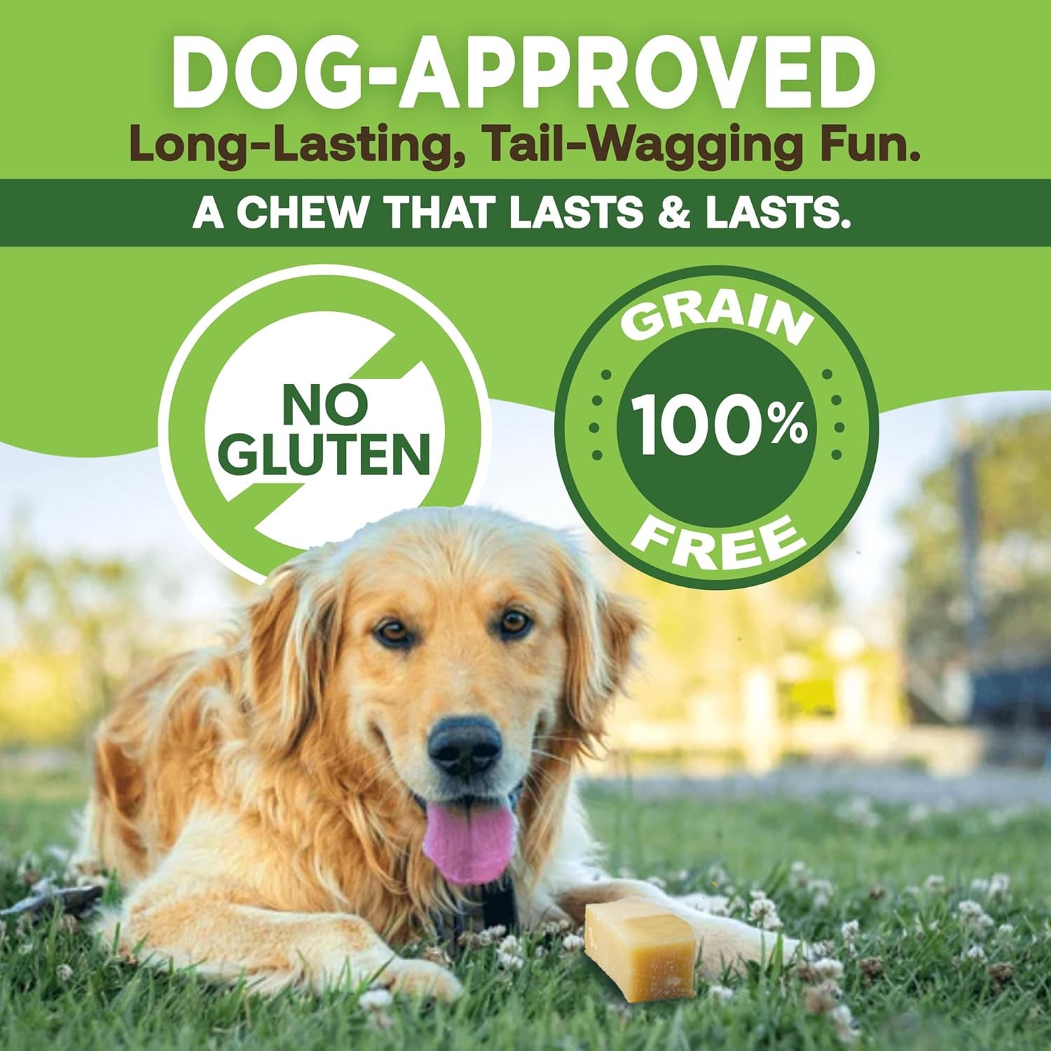 Ecokind Premium Gold Yak Cheese Himalayan Dog Chews, Dog Treats for Medium Dogs, All Natural, High Protein, for Aggressive Chewers, Medium - 3 Chews