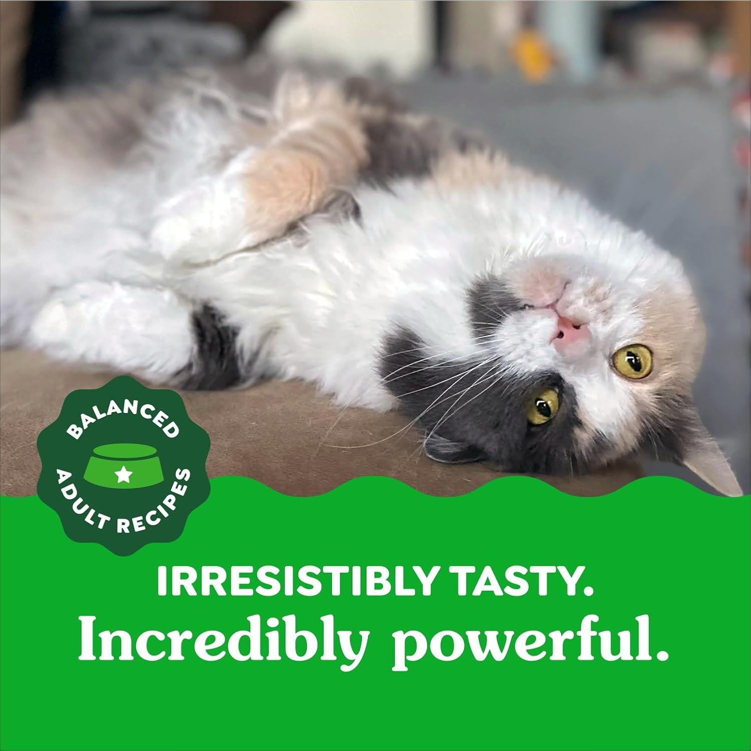 Feline Cat Treats Natural Dental Care, Oven Roasted Chicken Flavour, 9.75Oz. Tub