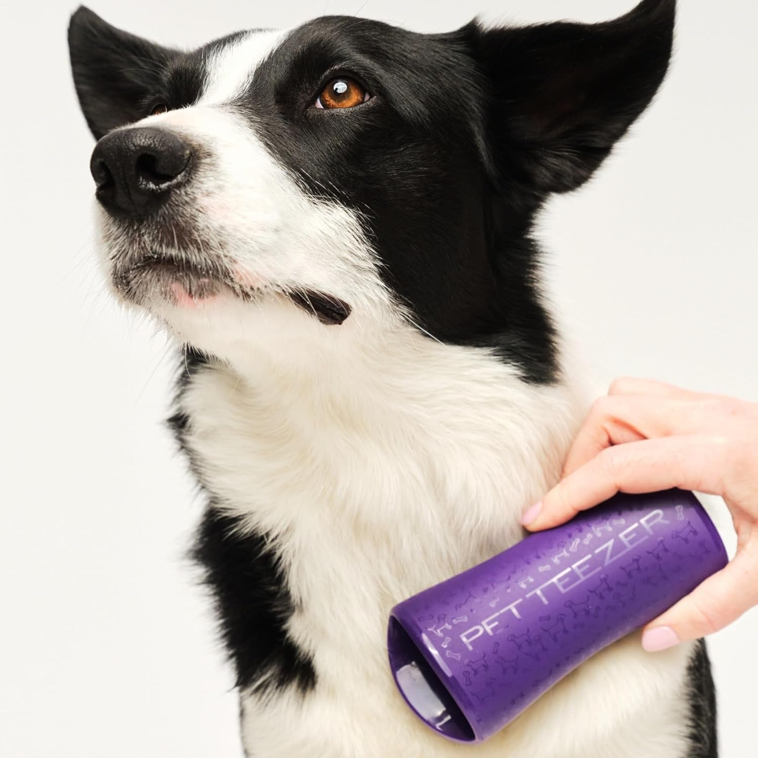 De-Shedding Dog Brush by Tangle Teezer, Dog Grooming Tool for Long Haired Breeds and Wet or Dry Fur, Large, Purple & Gray