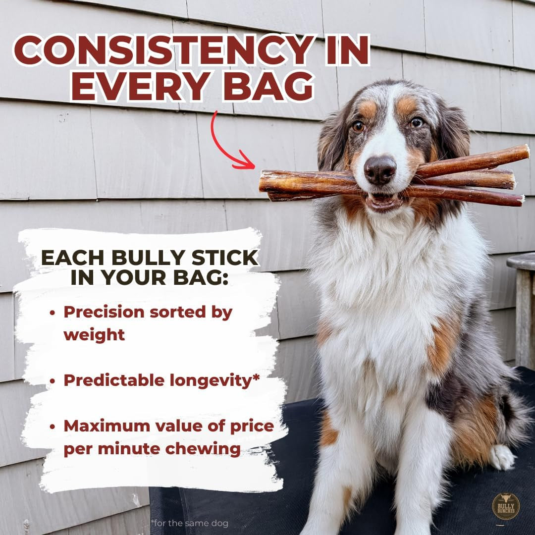 Premium (6" Standard - 5 Pack) Odour-Free, Consistently Sized Bully Sticks for Small & Medium Dogs & Puppies, Long-Lasting Oral Care Chews, All-Natural Single-Ingredient Beef, No Rawhide