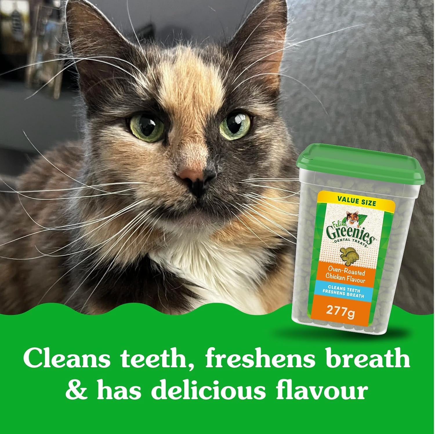 Feline Cat Treats Natural Dental Care, Oven Roasted Chicken Flavour, 9.75Oz. Tub